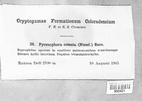 Image Associated With the Occurence